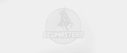 ECUMASTERS OSMANİYE logosu